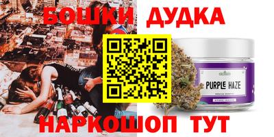 мдпв Заводоуковск
