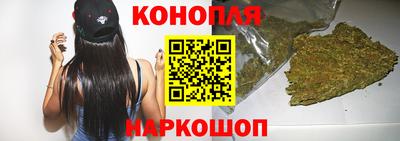 сатива Жуковский