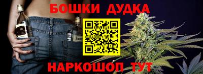 сатива Жуковский
