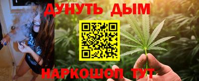 сатива Жуковский